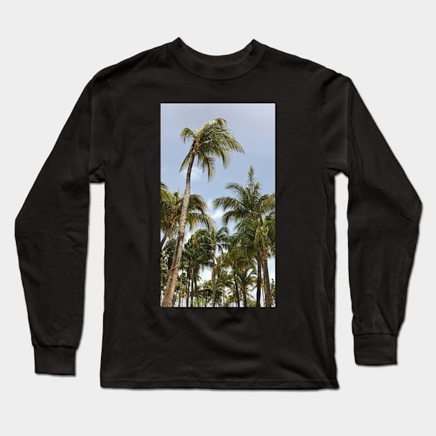 Palm Trees Aruba Caribbean Long Sleeve T-Shirt by simplythewest